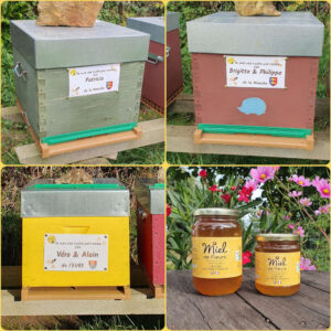 Parrainage de ruches
